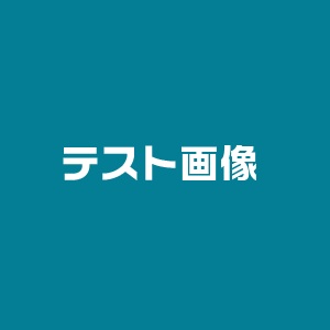 リモートアクセスツール（RemoteView等）の概要と導入ガイド