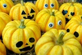 〈フラワ－ショップ Fio KOKURA〉ハロウィンフラワーギフト
