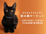 <span class="redV">【予告】</span>きたきゅうコロンブス秋の風マーケット