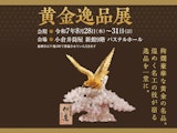 <span class="redV">【予告】</span>黄金逸品展