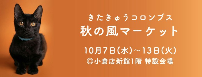 きたきゅうコロンブス秋の風マーケット
