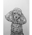 田村覚志 線描画展