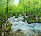 <span class="redV">【予告】</span>-彩華繚乱巡る季節に心躍らせて- 百瀬太虚 油彩画の世界