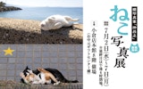<span class="redV">【予告】</span>猫写真家「沖昌之」ねこ写真展