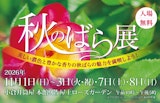 秋のばら展～美しい濃色と豊かな香りの秋ばらの魅力を満喫しよう～