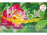 秋のばら展~美しい濃色と豊かな香りの秋ばらの魅力を満喫しよう~