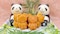 8月5日(水)週〈本館地階 美・食館〉今週の食品イベント情報