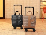 <span class="redV">【予告】</span>〈スワニー〉春のお悩み診断会 ＆ 新商品発表会