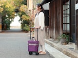 <span class="redV">【予告】</span>〈スワニー〉春の新商品のご案内