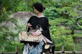 〈デュアルモード〉POP UP