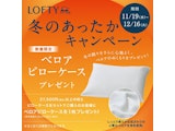 〈ロフテー枕工房〉冬のキャンペーン