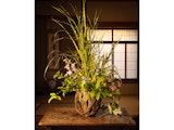 秋野の花を盛る竹籠展