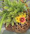 残暑の花かご展 そして、とくぢ手漉き和紙のいろいろ
