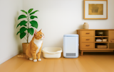 〈株式会社フジコー〉光除菌フェア