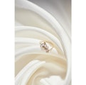 2026 夏の特選会〈Jewelry Natsu〉ジュエリーフェア