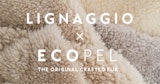 〈LIGNAGGIO＆ECOPEL〉POP UP
