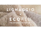 〈LIGNAGGIO&ECOPEL〉POP UP