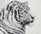 小林達史 絵画展 『伝承』