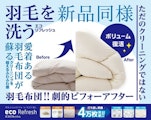 〈ロマンス小杉〉エコリフレッシュ 羽毛掛け布団お仕立て直し 期間限定キャンペーン