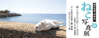猫写真家「沖昌之」ねこ写真展
