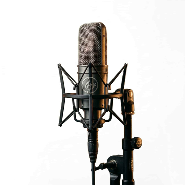 某芸能個人事務所（合同会社・非公開）