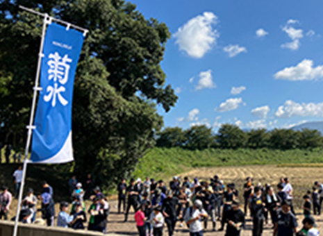 菊水酒造株式会社 田んぼ