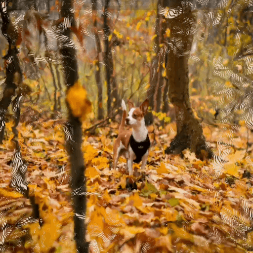 3次元ディストーションエフェクト