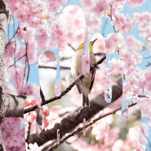 CSS Mask Transitions