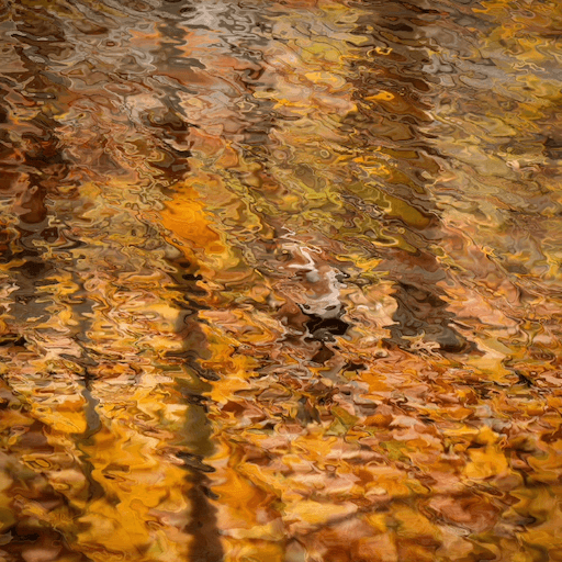 Distortion Hover Effects