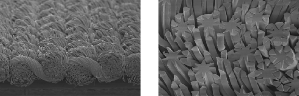 ARTIROSA CX surface (left) and cross-section (right) after finishing, highlighting a finely textured surface that delivers a premium appearance and distinctive feel