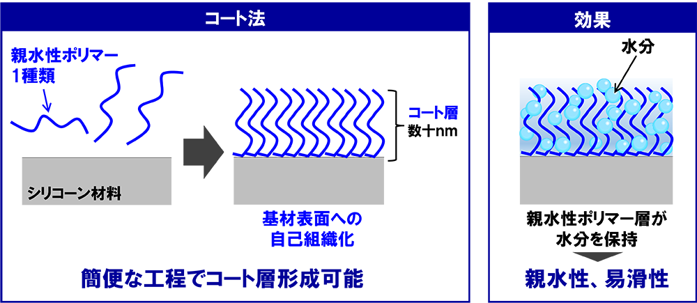 東レが開発した親水化技術(イメージ)