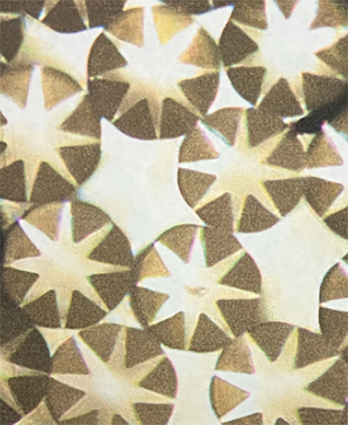 Cross-section of composite fiber before finishing