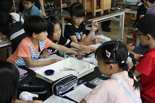 出前授業を枇杷島小学校で実施しました Newsroom | TORAY