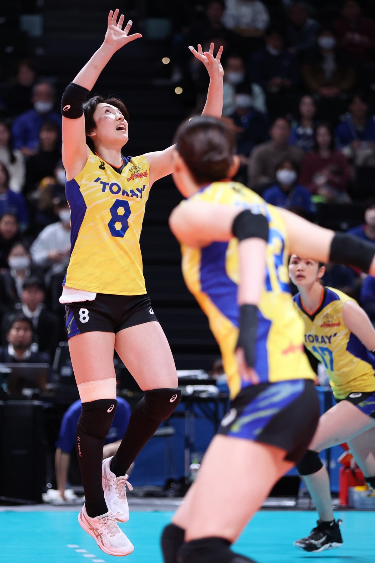 選手・スタッフの退団について | お知らせ | 東レアローズ滋賀 | TORAY