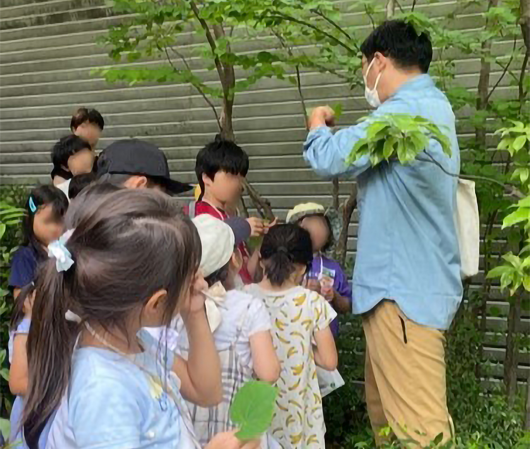 屋上庭園を巡る「親子自然散策ツアー」