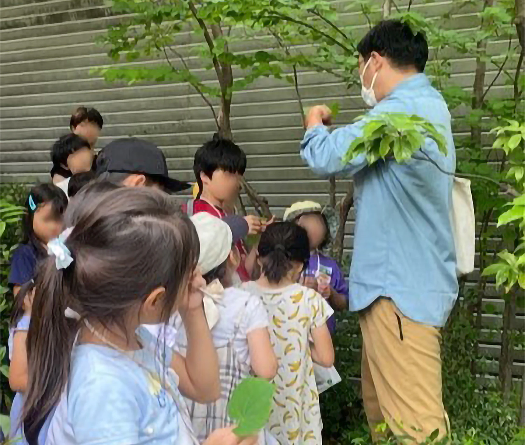屋上庭園を巡る「親子自然散策ツアー」