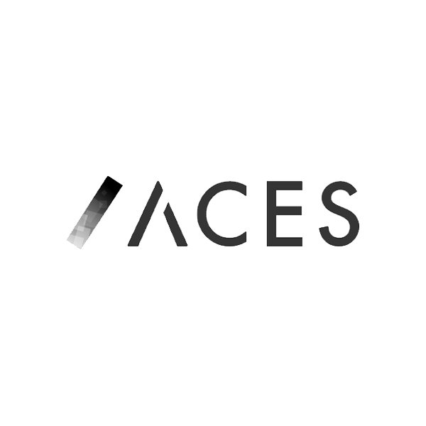 株式会社ACES