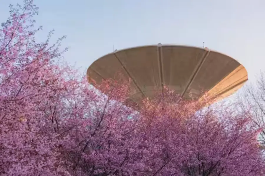 フィンランドで叶える海外リゾート散骨～桜の季節に故人を偲ぶ～