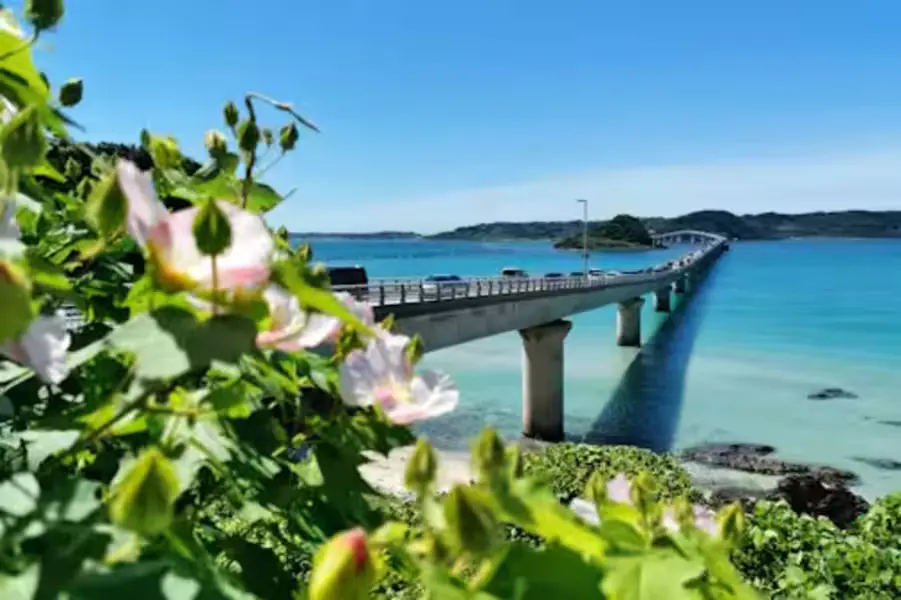 綺麗な花と桟橋