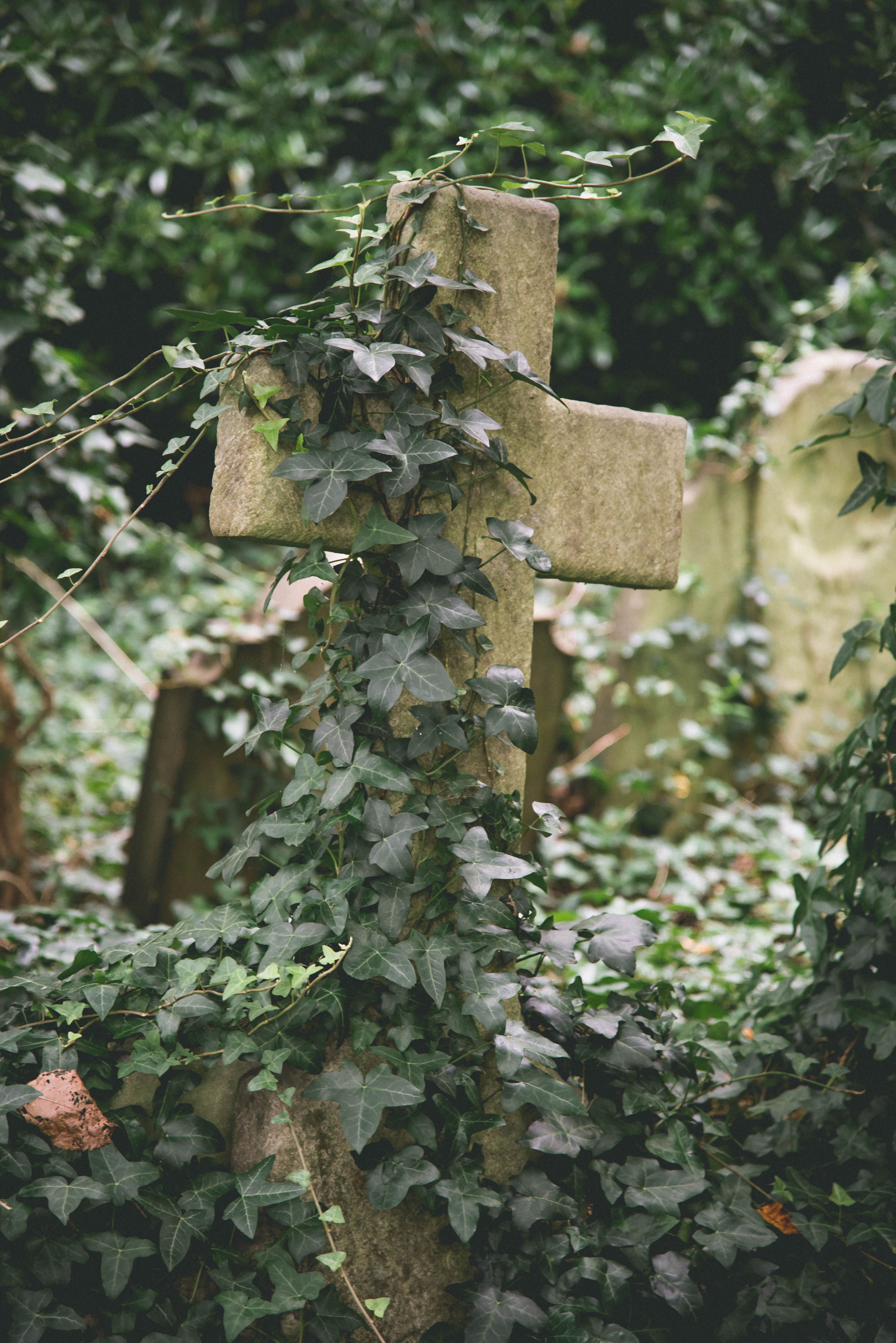 イギリスで170年ぶりの埋葬法改正へ~100年以上前のお墓の再利用と、未回収の遺灰の扱いを規定~