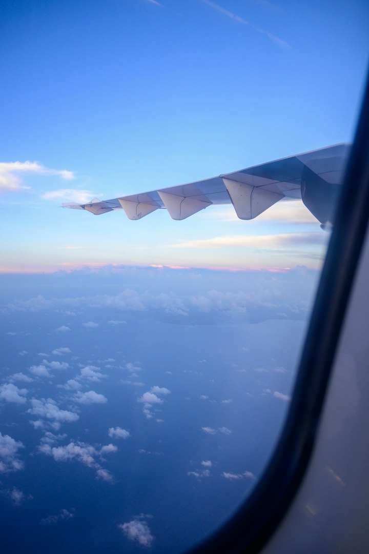 遺骨は飛行機に持ち込める？―国内線・国際線のルールと、海外へ「最後の旅」を届けるための準備