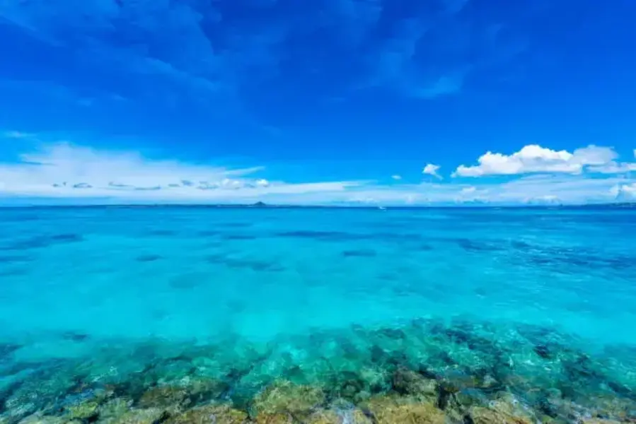 綺麗な海