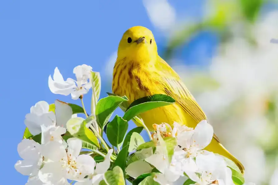 お彼岸のお墓参り～春分の日～