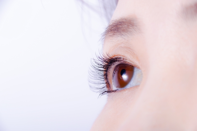 AIが照らし出す、失われゆく光の道筋