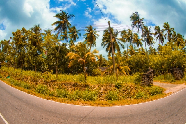 未来を支える手はどこへ？熱帯プランテーションの労働力危機