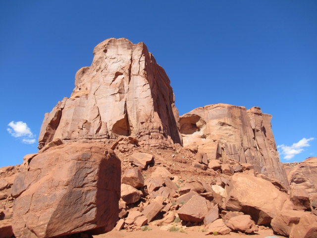 土を喰らう発電所？ 庭先から始まるエネルギー革命の夢と現実