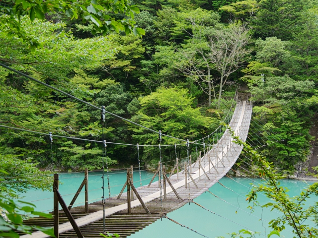 恋は吊り橋の向こうに？ときめきの正体をデータで暴く夜