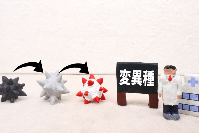 鏡合わせの刃：耐性菌の城壁「バイオフィルム」を砕く新世代ペプチド