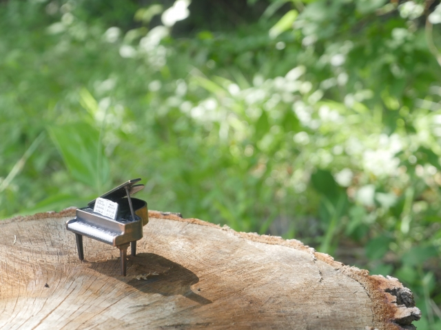 音の共鳴、種を超えた美の探求