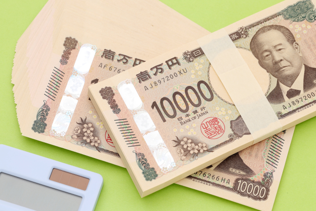 減税は未来への投資か、それともただの物欲か？給与明細の絶望から始まる経済成長論